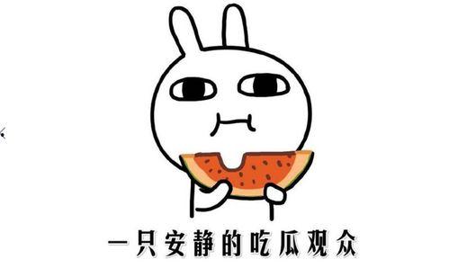 吃瓜新闻是新闻吗,揭秘网络时代的“瓜田”现象